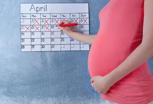 Pregnancy Calendar Calculation Pregnancy Calendar Calculation